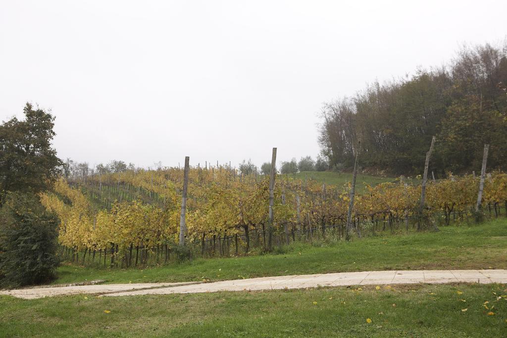 Agriturismo Marani 아르쿠그나노 외부 사진
